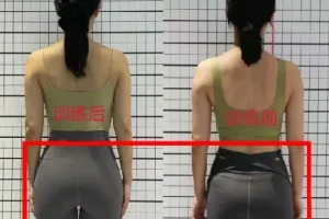 11天腰臀腿塑形健身课程：快速减脂塑形