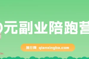 0元副业陪跑营：即梦、醒图、网盘、小说推文免费指导