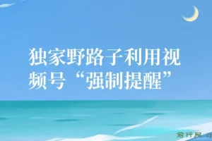 视频号引流创业粉野路子：无需剪发作品，单日轻松引流100+