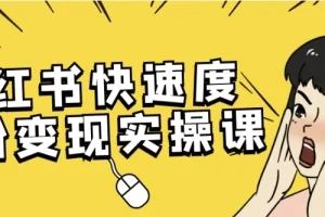 小红书快速涨粉变现实操课程