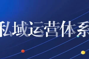 私域0 – 1客户成交体系搭建实战课程