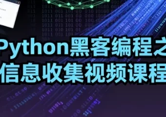 Python黑客编程：信息收集视频课程