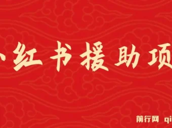 冷门赛道高收益：小红书援助项目实操指南