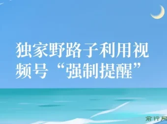 视频号引流创业粉野路子：无需剪发作品，单日轻松引流100+