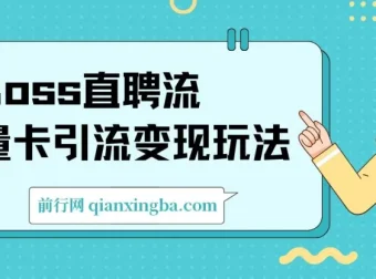 Boss直聘流量卡引流，日引200+创业粉变现玩法