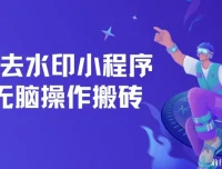 去水印小程序拼多多搬砖保姆级教程，可批量操作