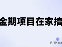 电商黄金期在家搞钱项目课程，一人一机轻松日赚500+