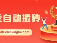 游戏自动搬砖项目：小白轻松日入千元秘籍