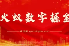 火蚁数字掘金：全自动挂机与手打收益项目实操