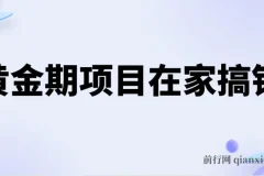 电商黄金期在家搞钱项目课程，一人一机轻松日赚500+