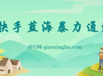 快手磁力聚星二维码项目：不直播不露脸，轻松月入过万