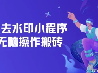 去水印小程序拼多多搬砖保姆级教程，可批量操作