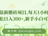 新手0门槛搬砖项目：每日1小时，轻松日入300+