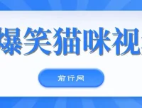 爆笑猫咪视频号项目：简易操作，轻松日入过千