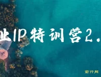 创业IP特训营2.0：IP合伙人掘金秘籍，迈向年入50W