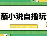 番茄小说自撸玩法：低播放量也能日赚1000+