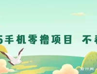 2025手机零撸项目：无广告，随时操作，日收益可观
