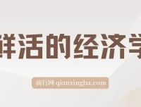 《：探索经济世界的生动读本》
