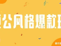 颠公风格爆款视频玩法，操作简易收益可观