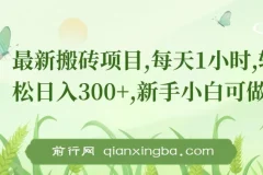 新手0门槛搬砖项目：每日1小时，轻松日入300+