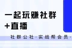 社群公社实战帮：一起玩赚社群与直播