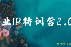 创业IP特训营2.0：IP合伙人掘金秘籍，迈向年入50W