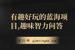 趣味智力问答项目：好玩蓝海，收益稳定