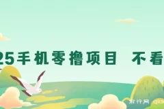 2025手机零撸项目：无广告，随时操作，日收益可观