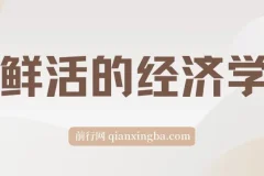 《：探索经济世界的生动读本》