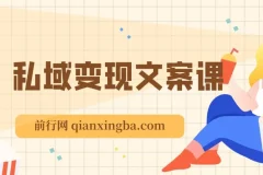 私域变现指南：朋友圈、文案与粉丝运营实操课程