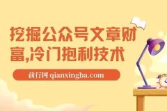 公众号文章财富挖掘：冷门获利技术与自动采集教学