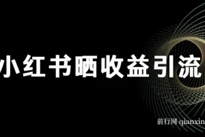 小红书晒收益图引流项目粉：日引200+秘籍