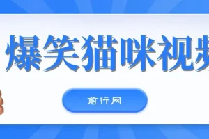 爆笑猫咪视频号项目：简易操作，轻松日入过千
