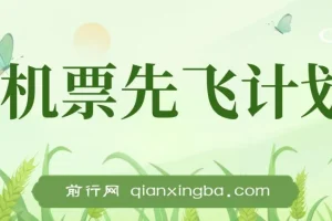 2024暑期赚钱利器：机票先飞计划，小红书闲鱼暴力引流实操