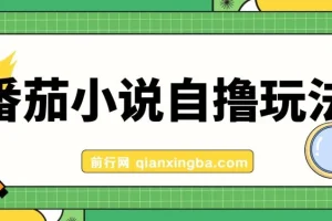 番茄小说自撸玩法：低播放量也能日赚1000+