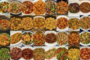 100道经典名菜制作视频教程