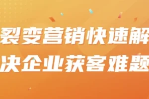 裂变营销课程：助力企业高效获客