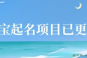 阿飞幼儿宝宝起名项目实操课程，附配套起名软件