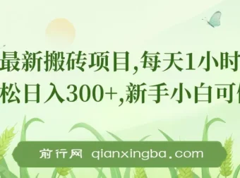 新手0门槛搬砖项目：每日1小时，轻松日入300+