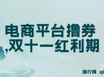 电商平台撸券项目：双十一新手单号日入300+