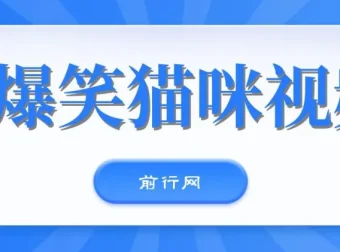 爆笑猫咪视频号项目：简易操作，轻松日入过千