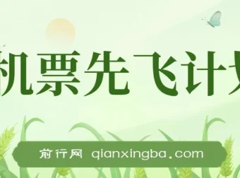 2024暑期赚钱利器：机票先飞计划，小红书闲鱼暴力引流实操