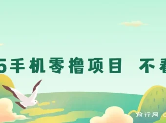 2025手机零撸项目：无广告，随时操作，日收益可观