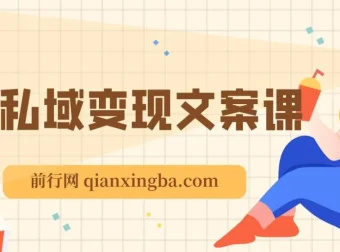 私域变现指南：朋友圈、文案与粉丝运营实操课程