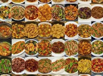 100道经典名菜制作视频教程