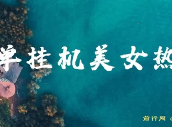 美女热舞挂机项目：月入2 – 5万可矩阵操作