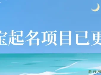 阿飞幼儿宝宝起名项目实操课程，附配套起名软件