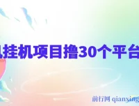 手机挂机项目：零撸30个APP平台广告金币，月入轻松数千