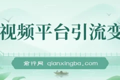 蓝海小众怀旧漫画赛道：视频平台引流变现秘籍