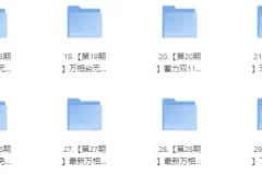 白凤电商淘系运营21天速成班课程